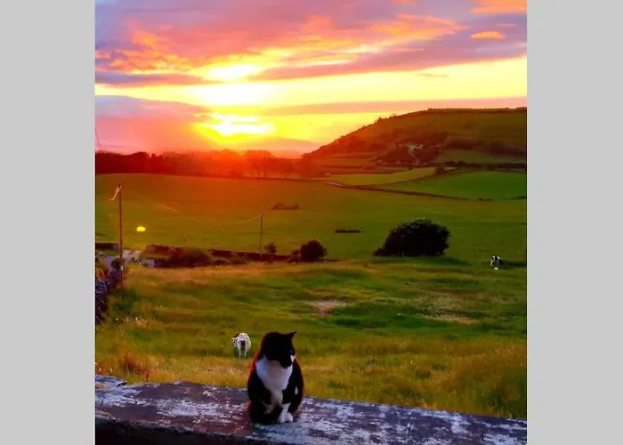 Appartement Casa Da Mediana