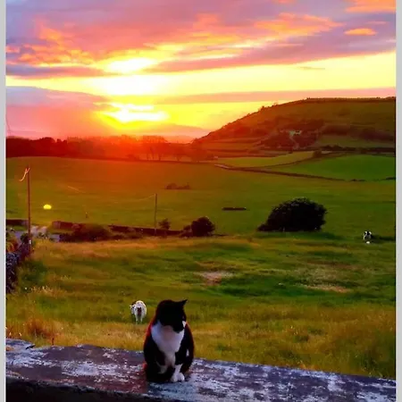 Appartement Casa Da Mediana